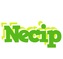 Necip picnic logo