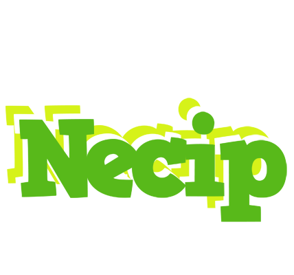 Necip picnic logo