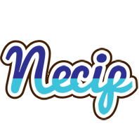 Necip raining logo