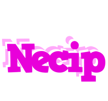 Necip rumba logo