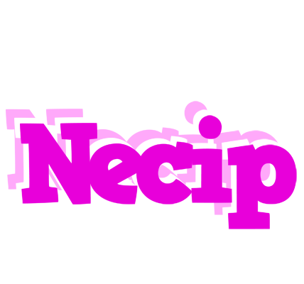 Necip rumba logo