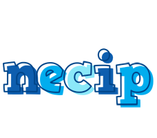 Necip sailor logo