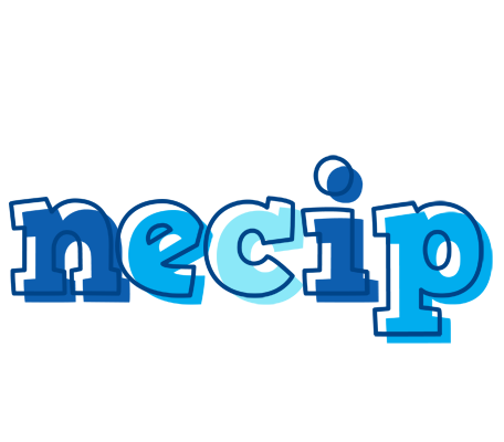 Necip sailor logo