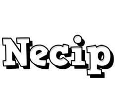 Necip snowing logo