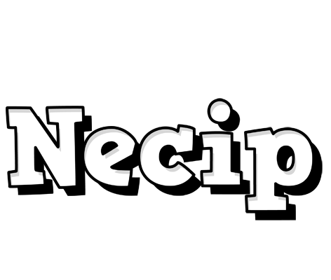 Necip snowing logo