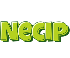 Necip summer logo