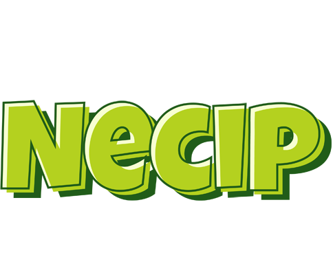 Necip summer logo