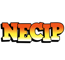 Necip sunset logo