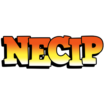 Necip sunset logo
