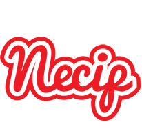 Necip sunshine logo