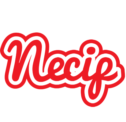 Necip sunshine logo