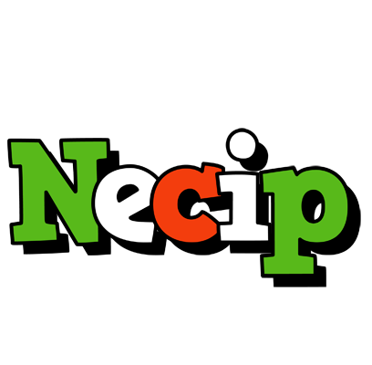 Necip venezia logo