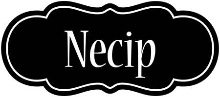 Necip welcome logo