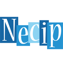 Necip winter logo