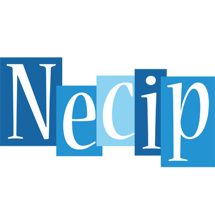 Necip winter logo