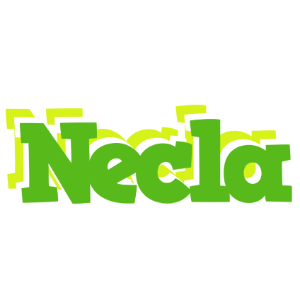 Necla picnic logo
