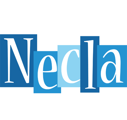 Necla winter logo