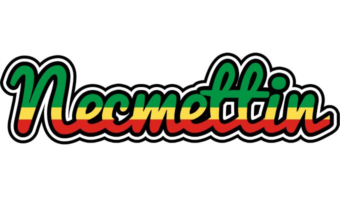 Necmettin african logo