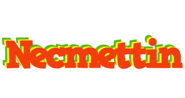 Necmettin bbq logo