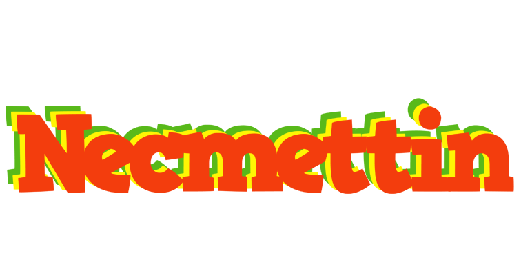 Necmettin bbq logo