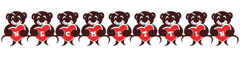 Necmettin bear logo