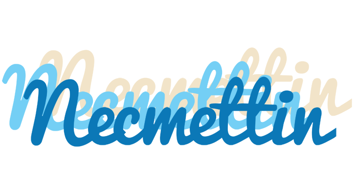 Necmettin breeze logo