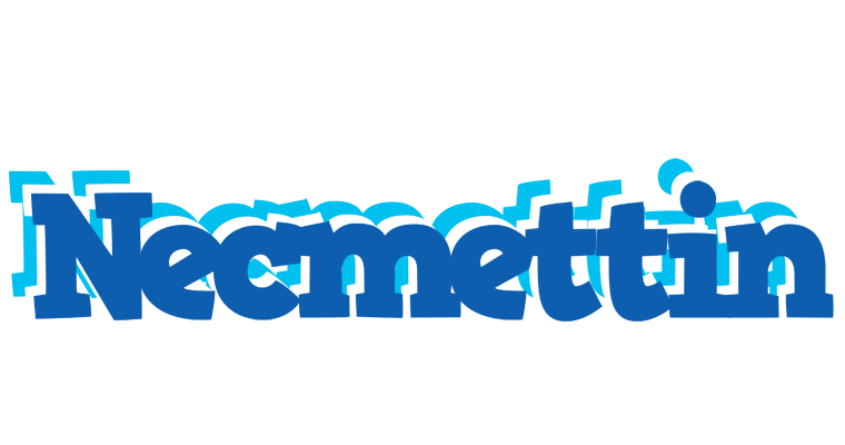 Necmettin business logo