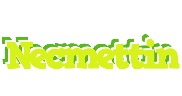 Necmettin citrus logo