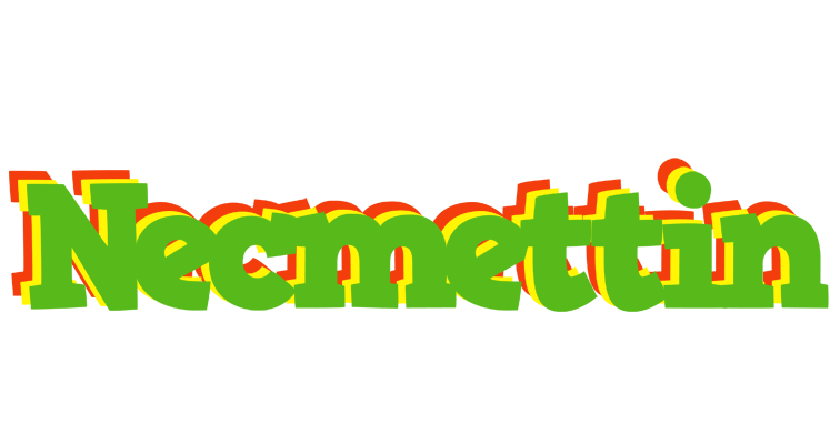 Necmettin crocodile logo
