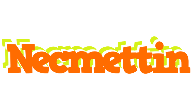 Necmettin healthy logo