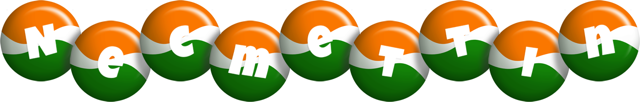 Necmettin india logo