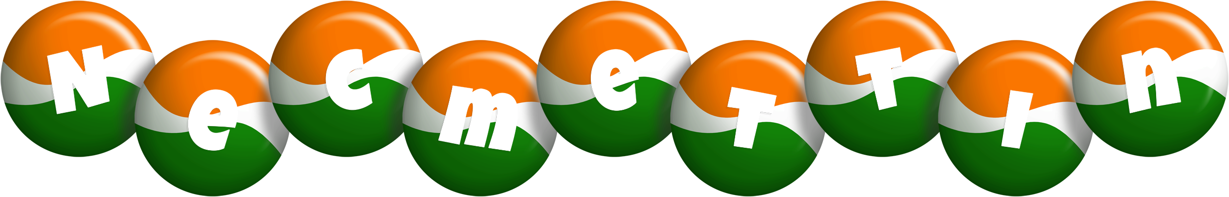 Necmettin india logo