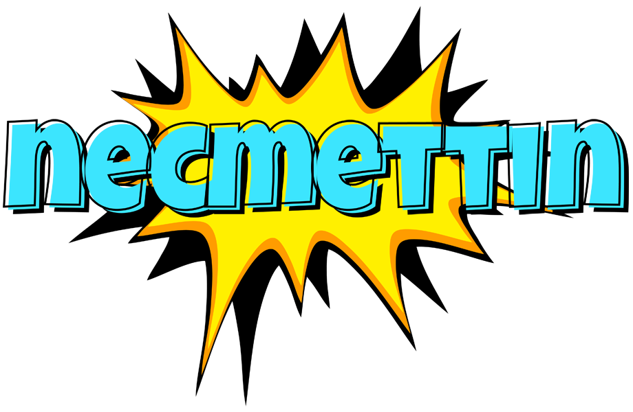 Necmettin indycar logo