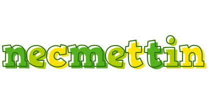 Necmettin juice logo