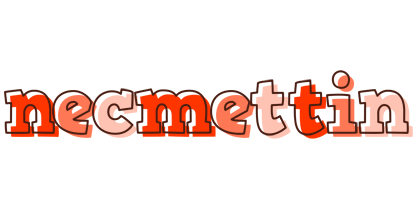 Necmettin paint logo