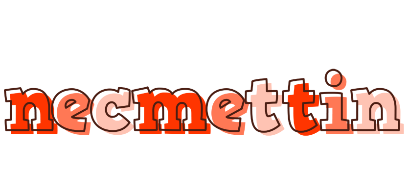 Necmettin paint logo