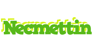 Necmettin picnic logo