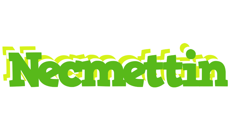Necmettin picnic logo