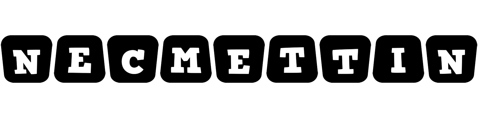 Necmettin racing logo