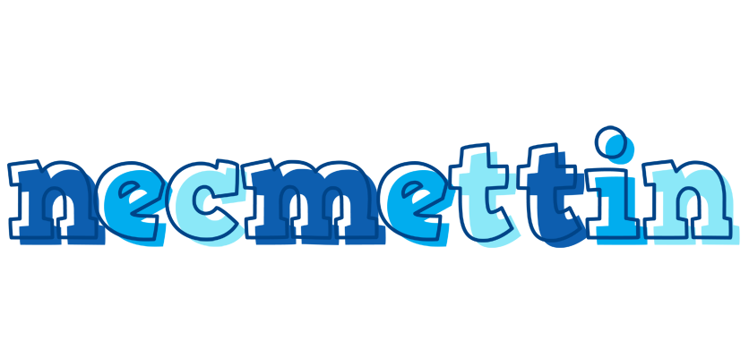 Necmettin sailor logo