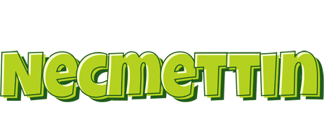 Necmettin summer logo