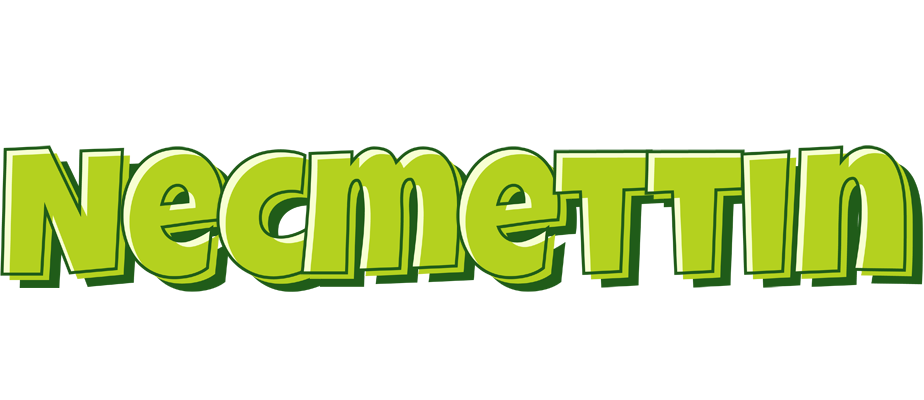 Necmettin summer logo