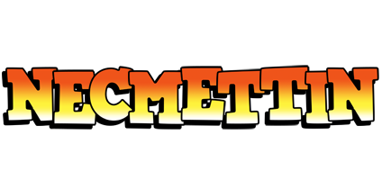 Necmettin sunset logo