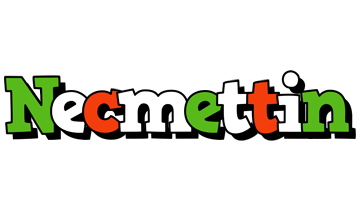 Necmettin venezia logo