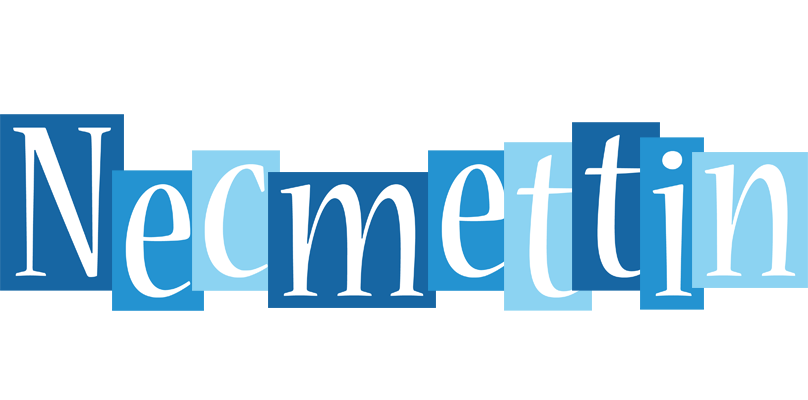 Necmettin winter logo