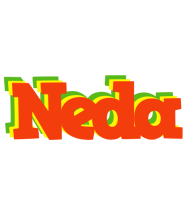 Neda bbq logo
