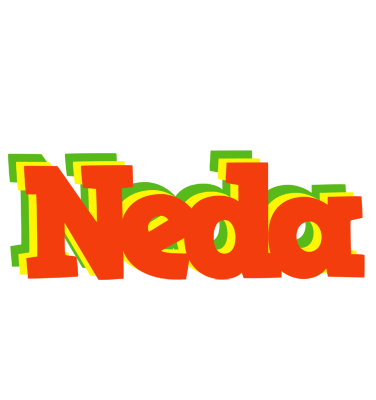 Neda bbq logo