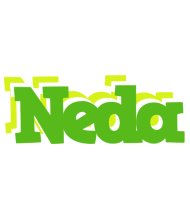 Neda picnic logo