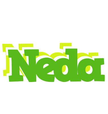 Neda picnic logo