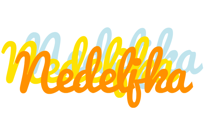 Nedeljka energy logo